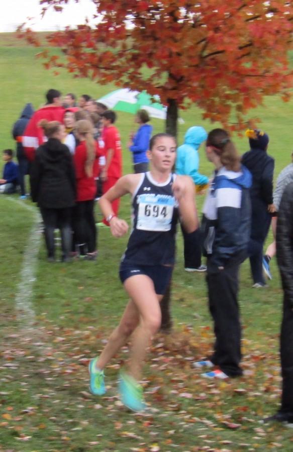 Brotnow qualified for sectionals with a time of 19:37 at the regional meet hosted by West Chicago on Oct. 24.