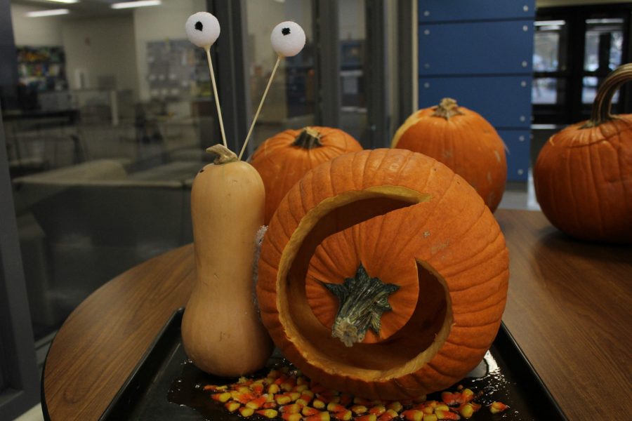 Horticulture Club encourages students to be creative when designing their pumpkins. 
