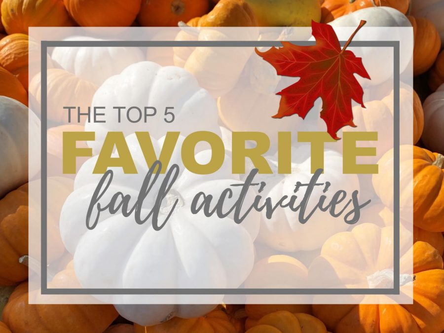 Top 5 favorite fall activities