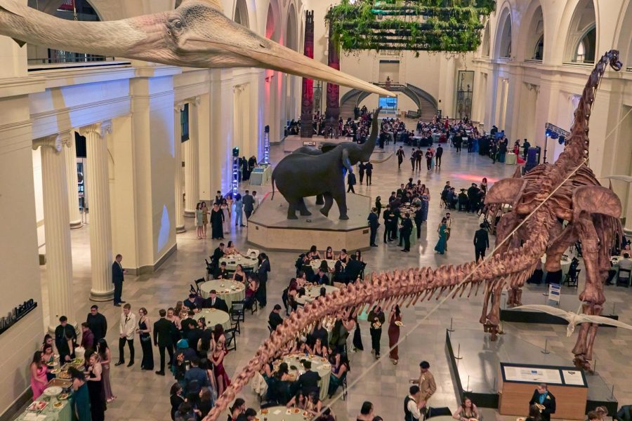 The Field Museum, ready to receive WCCHS students for Prom. (Photo by Lifetouch, used with permission)