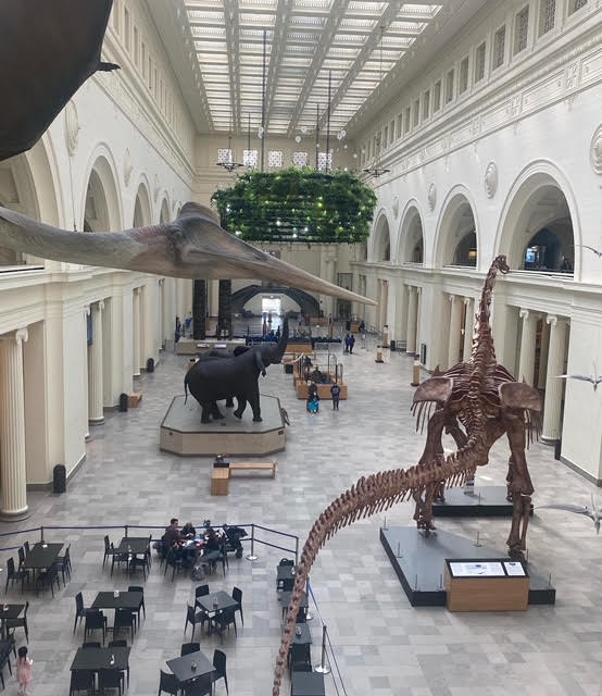 The field museum on March 8th without the venue pieces and lights