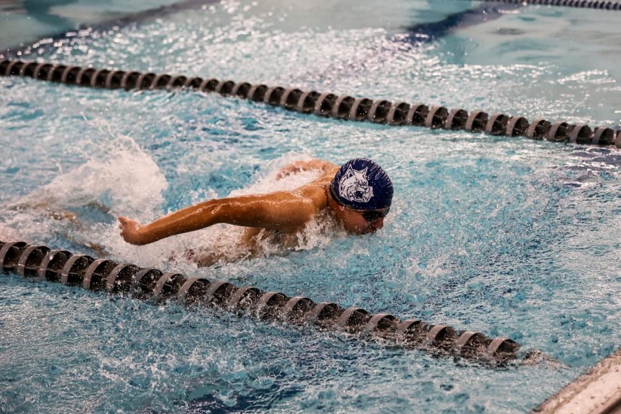 Gio Sebastian on senior night competing in a butterfly stroke race.