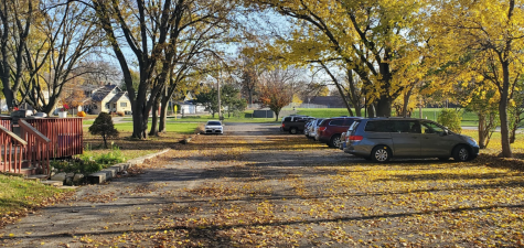 The Geneva lot, covered in leaves, last week. Several of these cars have been parked for weeks on end.