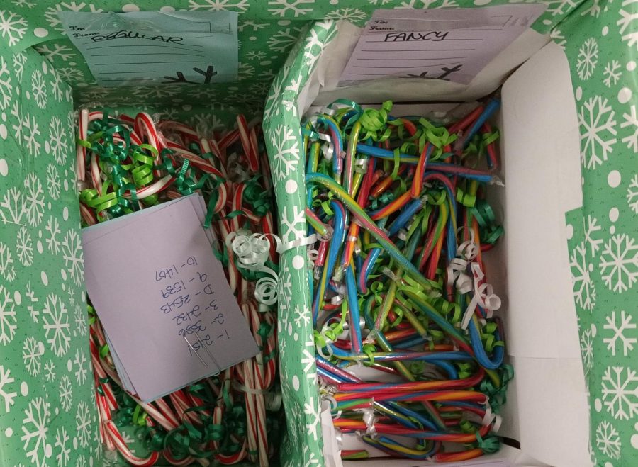 A look inside the Frosty Grams delivery box. Students had two choices in candy canes: simple or fancy.