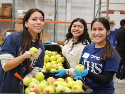 Seniors Andrea Sarmiento, Maritsa Romero and Kathy Martinez sort apples at the Northern Illinois Food Bank in November.