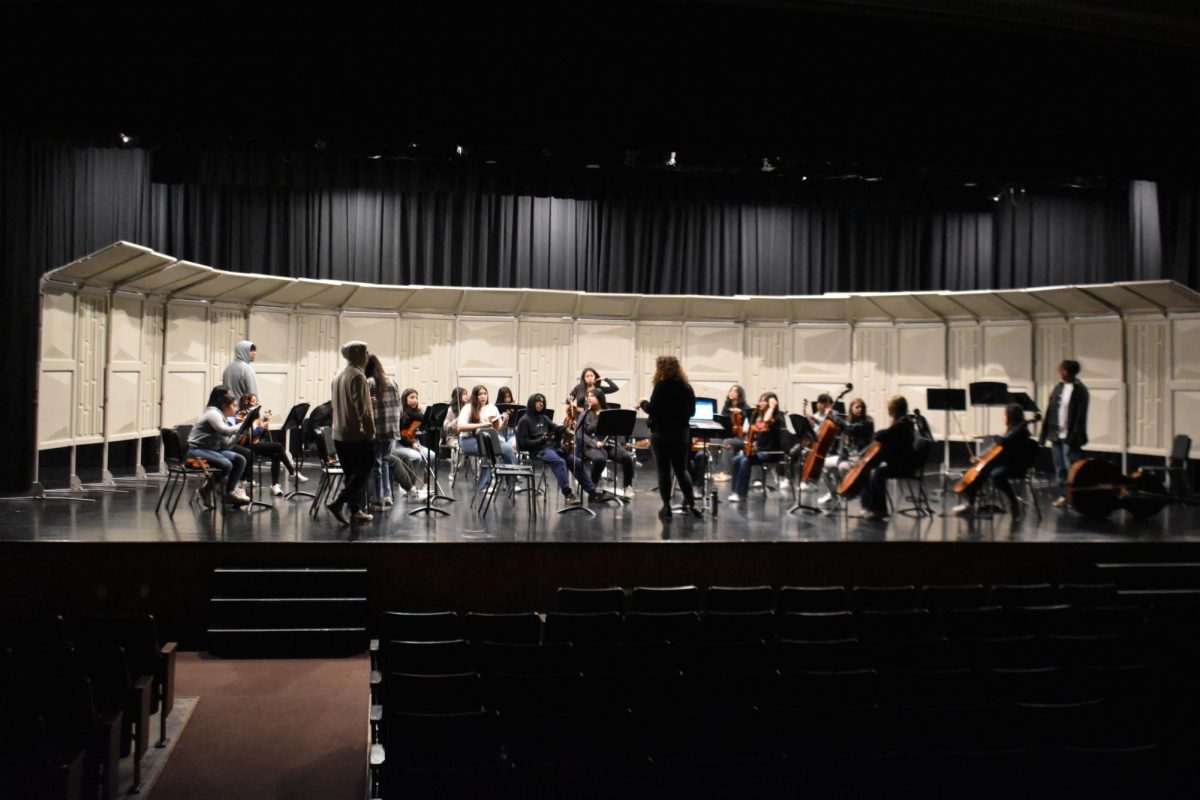 Orchestra prepares and practices for the Oct. 17 Halloween-themed concert during class time on the same day.
