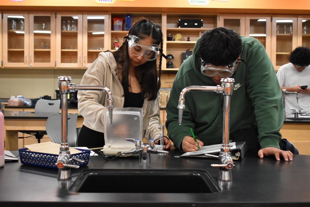 Density is a key concept in chemistry which Christina Sladeks students spent a day practicing.
