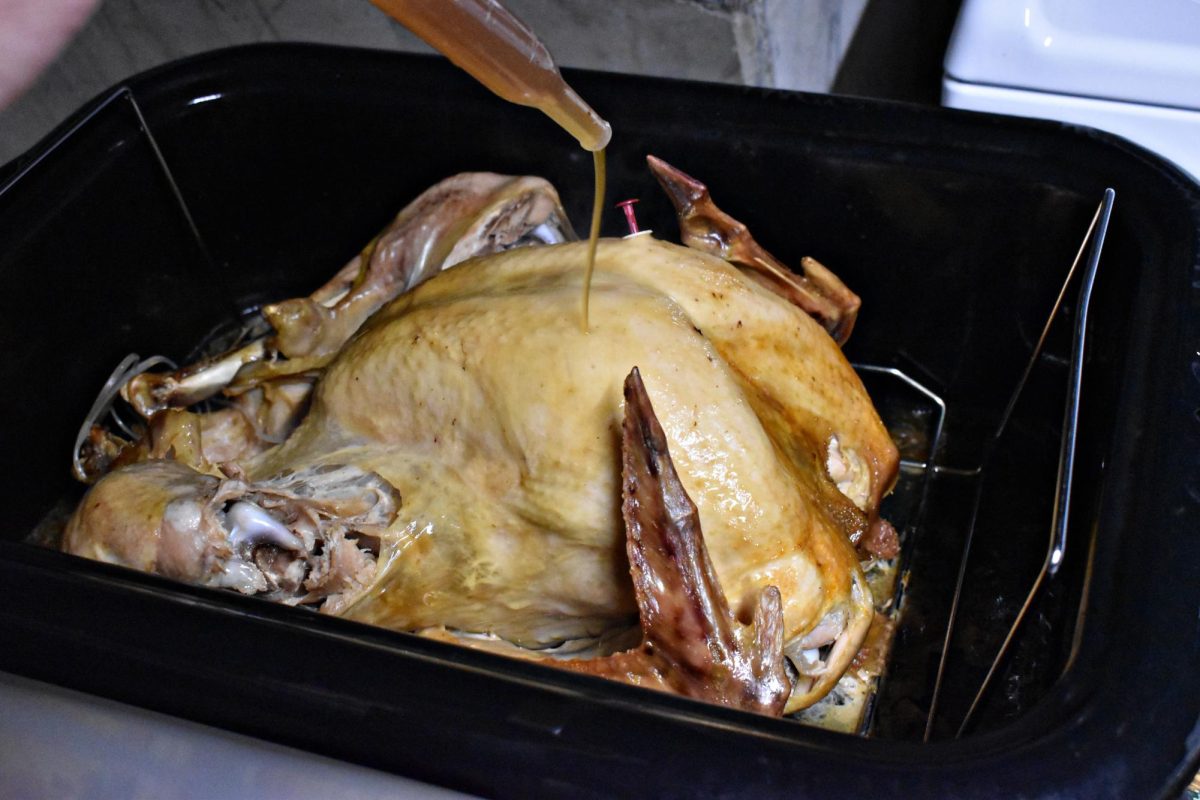 Turkey+is+so+dry%2C+it+requires+regular+basting+which+is+not+only+tedious%2C+but+also+pointless%2C+as+the+flavor+is+improved+minimally.