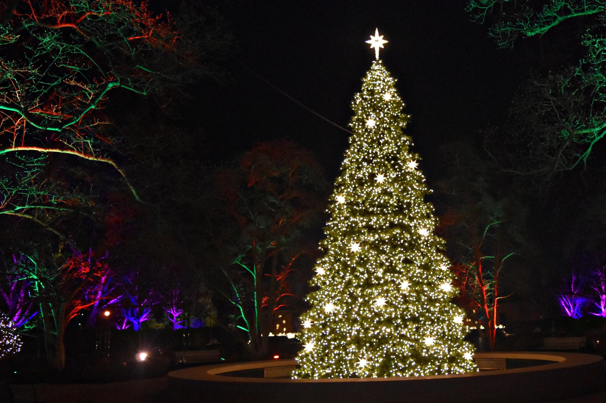 Christmas was in full swing at Cantigny on Dec. 22 during the Winter Spectacular.