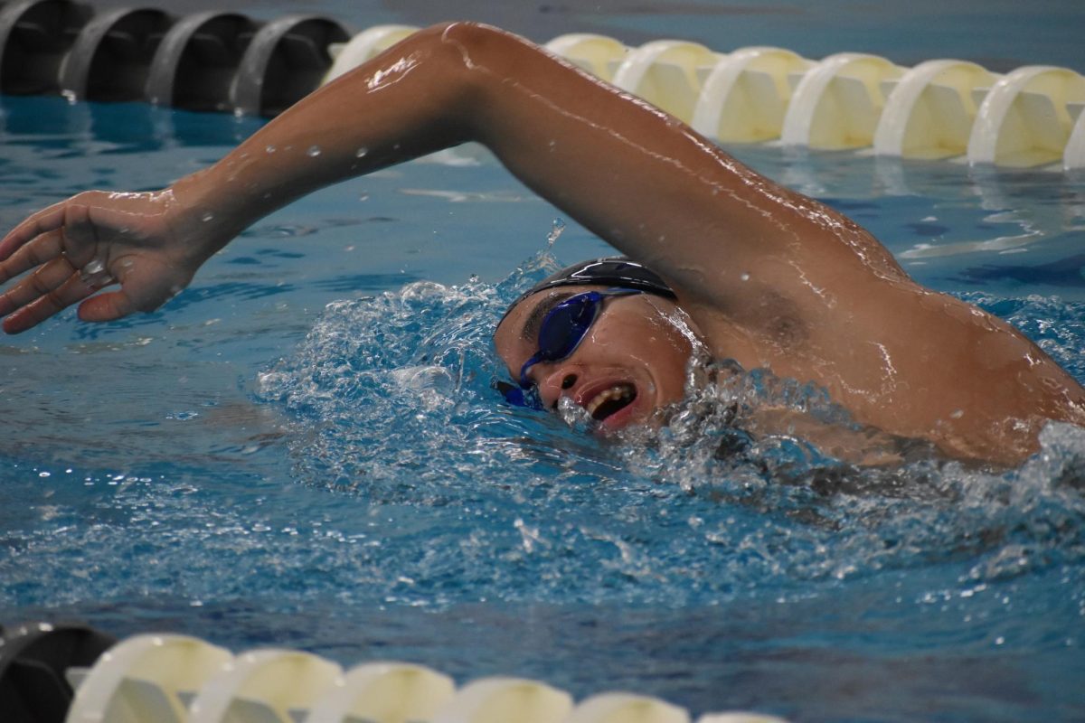 The finals for the boys state swim championships will take place on Saturday, February 24. 