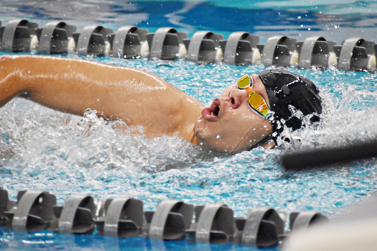 Boys swim teams from surrounding schools compete at UEC Championships at West Chicago Community Highschool.