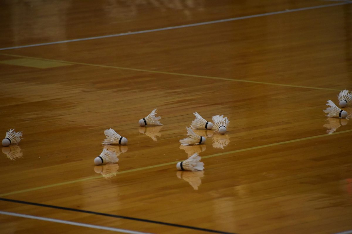Birdies lying on the floor while the team warms up 