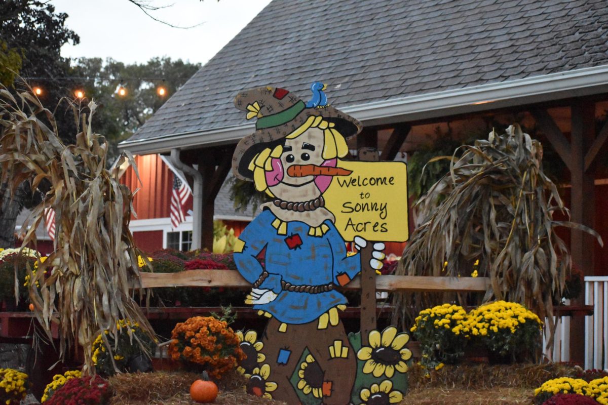 Sonny Acres is in the midst of its annual fall festival, offering local residents the chance to buy pumpkins, or enjoy fall fun.