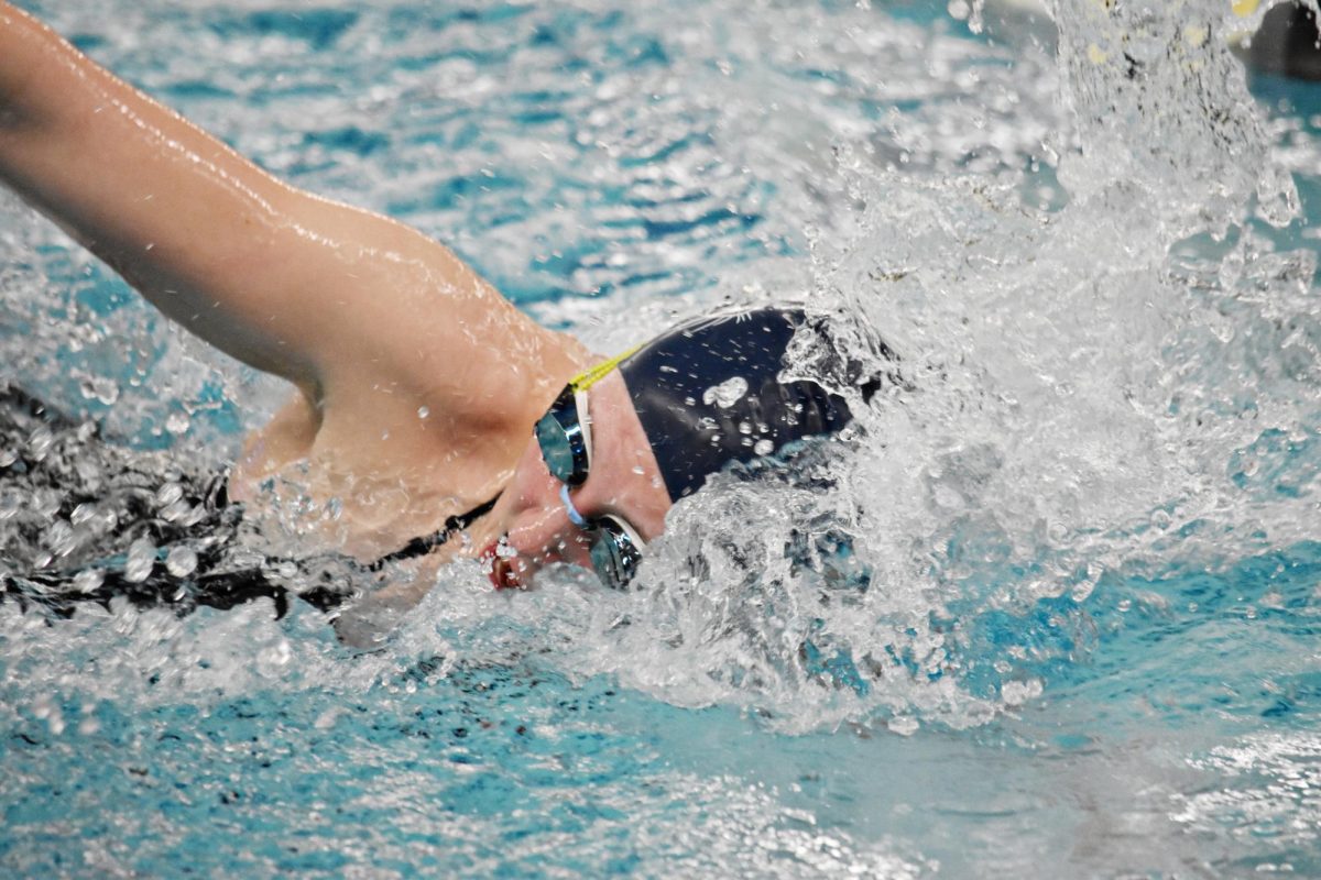 The UEC championship meet on Oct. 26 proved the Wildcats' dominance in the pool: not only did they take first place, but they often found themselves racing each other. 