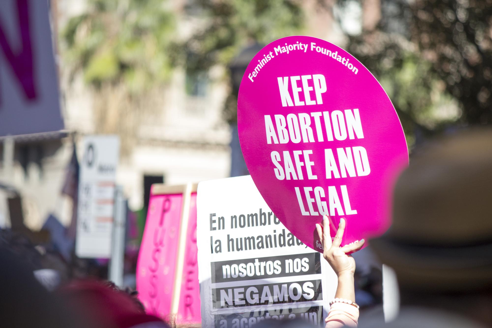 More than 500,000 people descended up on Downtown Los Angeles to march for equality and human rights.(Photo courtesy of Larissa Puro via Wikimedia Commons)