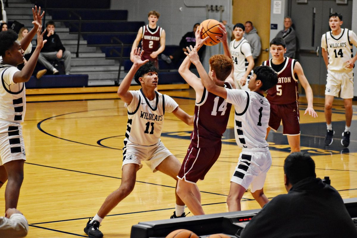 They players might be young, but the Varsity Wildcat basketball team gave a strong performance in their home opener, suggesting the season ahead will be a promising one.