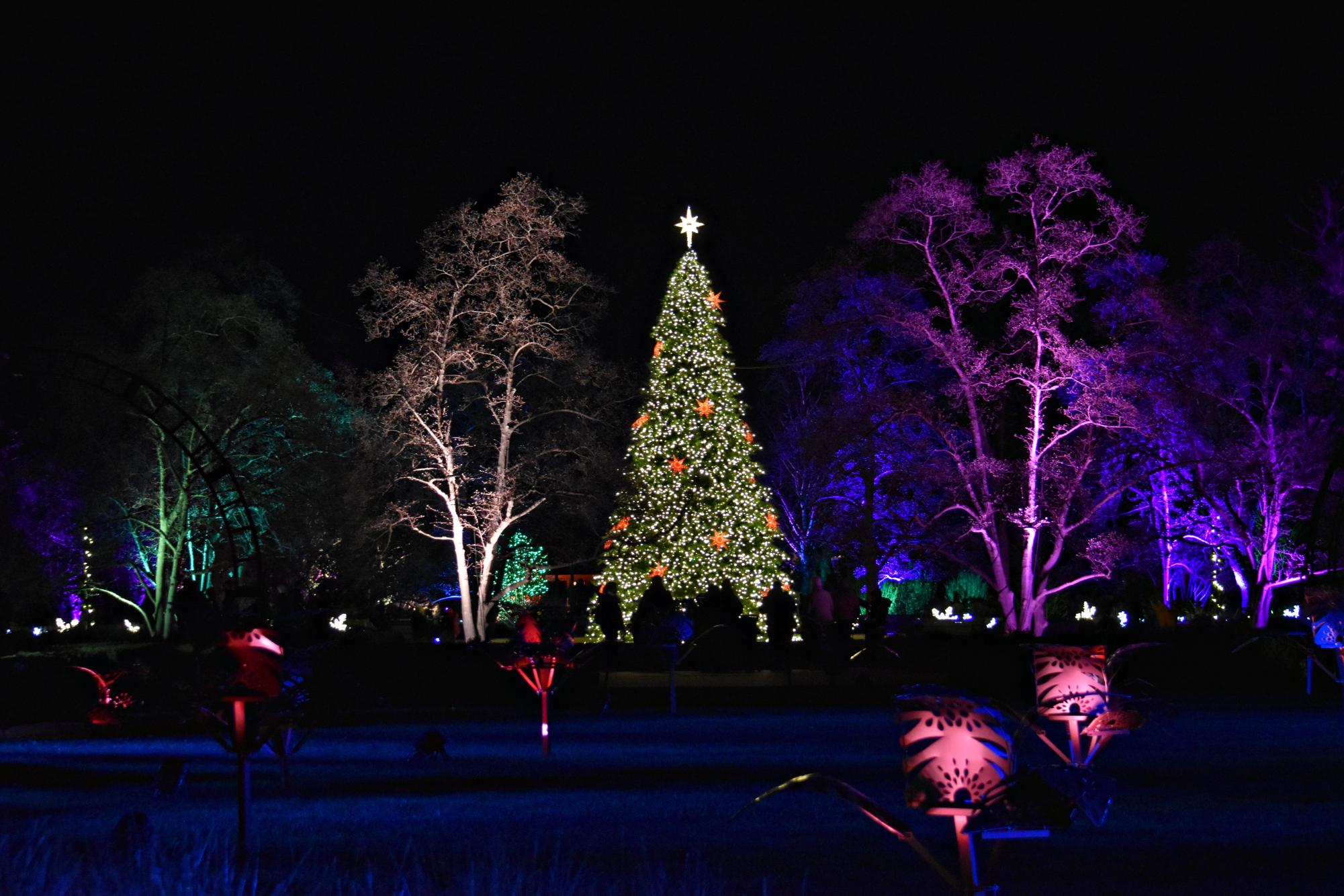 Cantigny opened its doors once more for the holiday season, inviting visitors to enjoy a winter wonderland on the property.