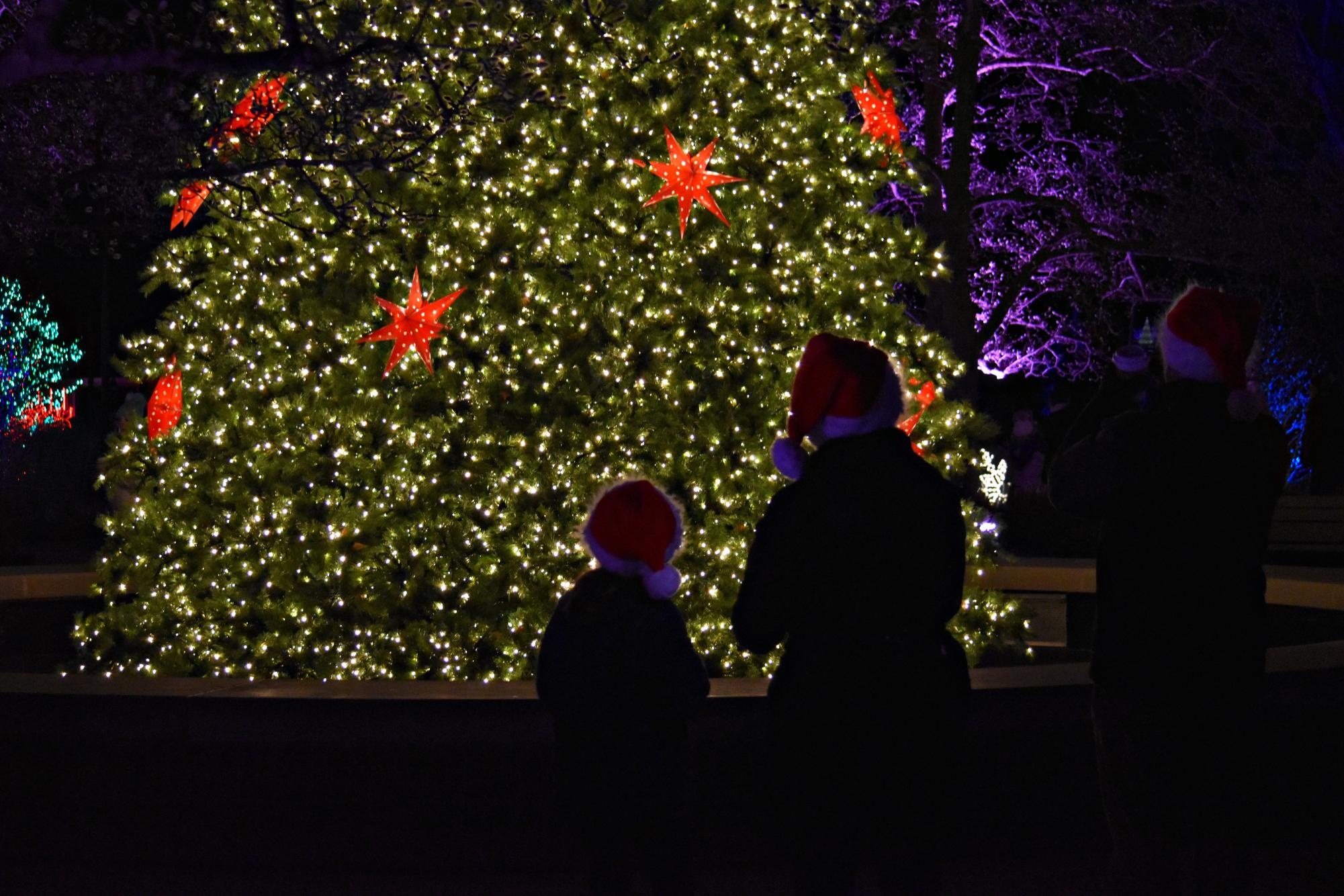 Cantigny Holiday Light Show