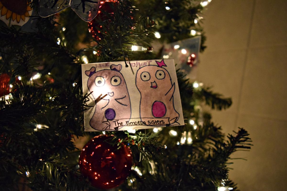 Ornaments on Brianne Ferriero's Christmas tree, which sits upon a counter in her science classroom at West Chicago Community High School from November on.