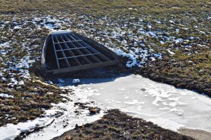 A frozen retention pond outside Entrance B serves as a reminder of the frigid weather conditions on Jan. 21.