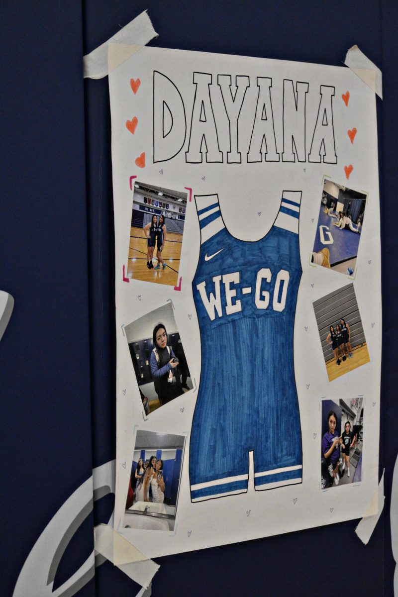 Dayana Mata's poster displays images from her wrestling career at West Chicago Community High School.