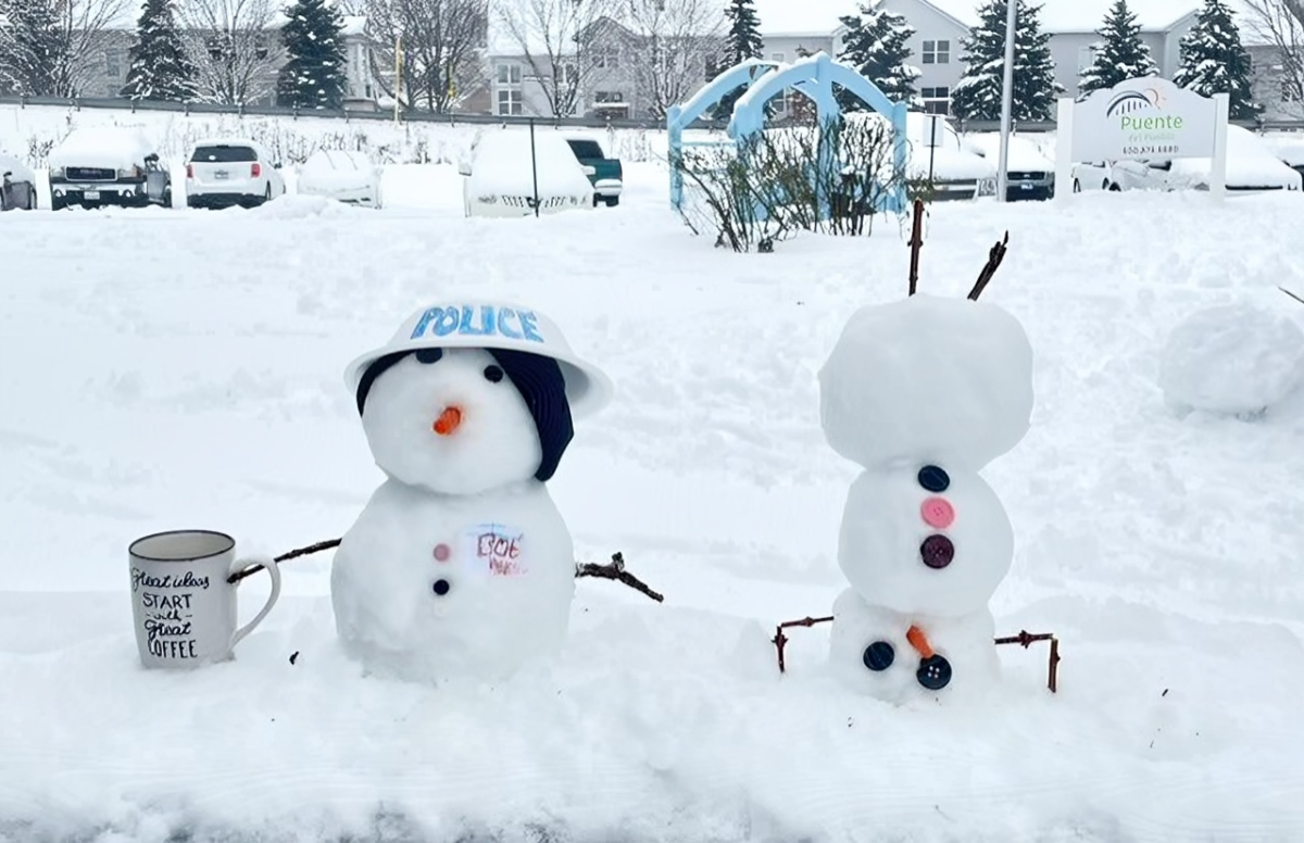 A potential snowstorm in the Chicagoland area gives students their long anticipated e-learning day on Feb. 12, 2025.