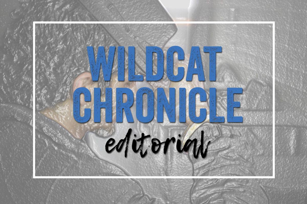 As of recent years, many alleged influencers and or celebrities have been accused of engaging inappropriate behavior. Some being worse than others but the consequences haven’t been as dire as others, why?