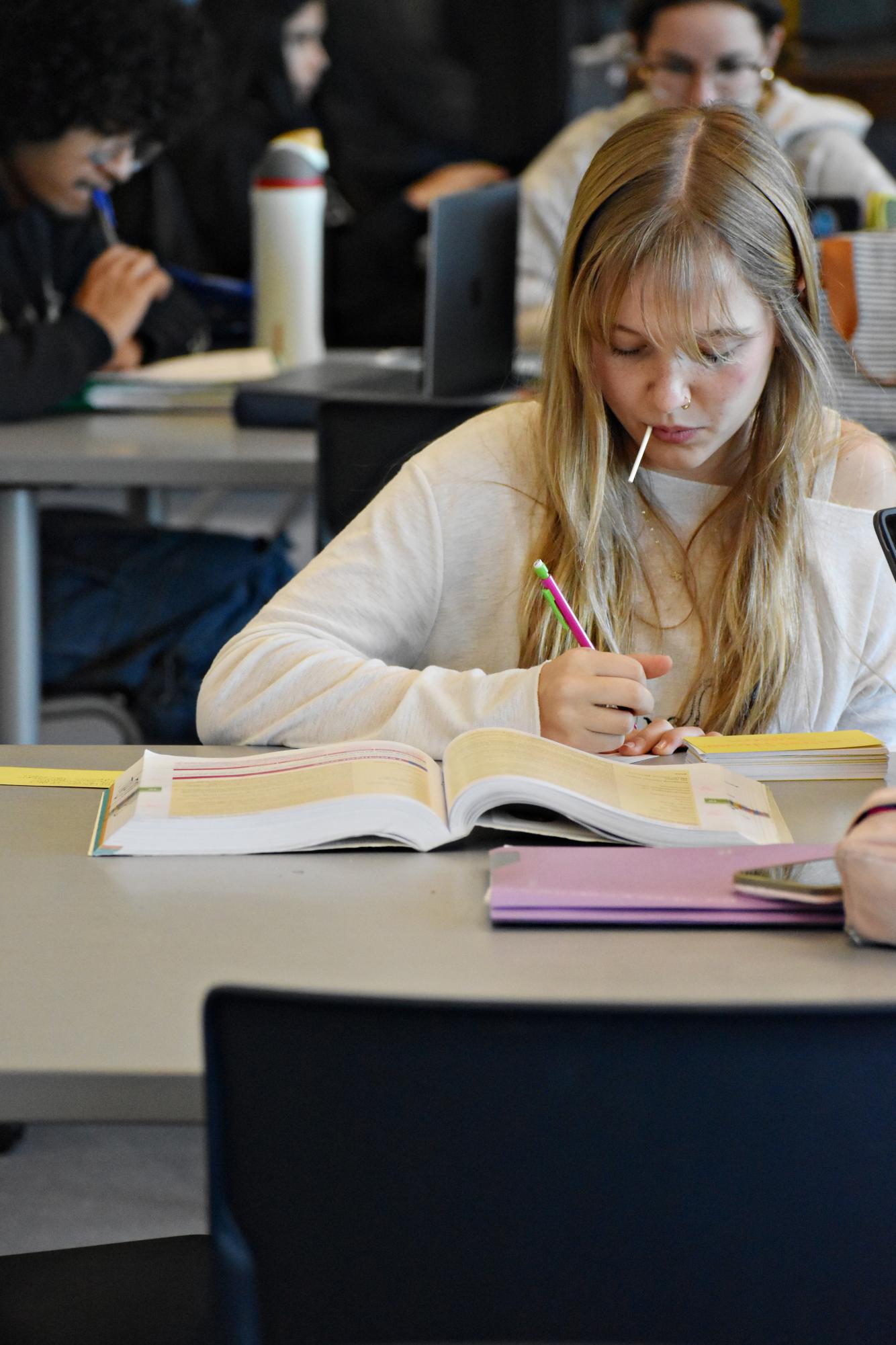 Senior Avery Unger studies for an upcoming test in the Learning Resource Center at West Chicago Community High School during Nov. 2025.