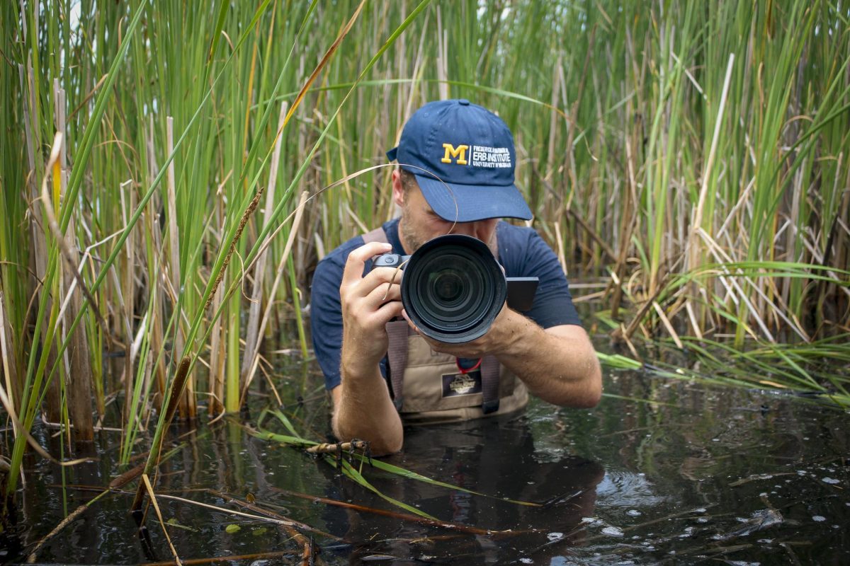 Campredon captures a University of Michigan class taking place in a marsh in Sheboygan, MI.