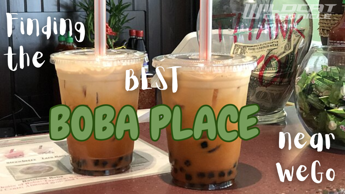 From classic milk teas to fruitier picks, this vlog breaks down which spots are worth the stop and which ones surprised us.