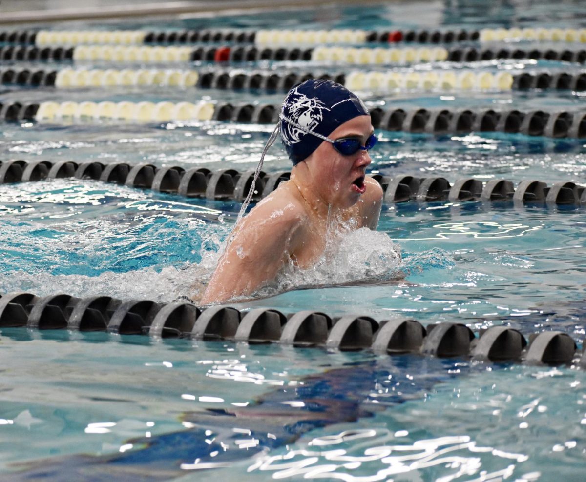 A Wildcat swimmer surfaces during the breaststroke at a Jan. 22 dual meet.