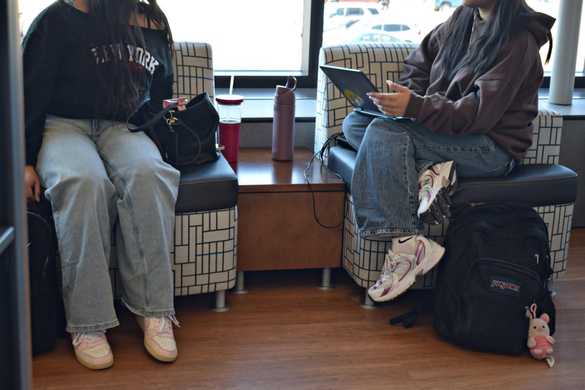 Students work together in the LRC on Feb. 23, 2026, wearing baggy jeans that reflect current fashion trends among teens at WCCHS.