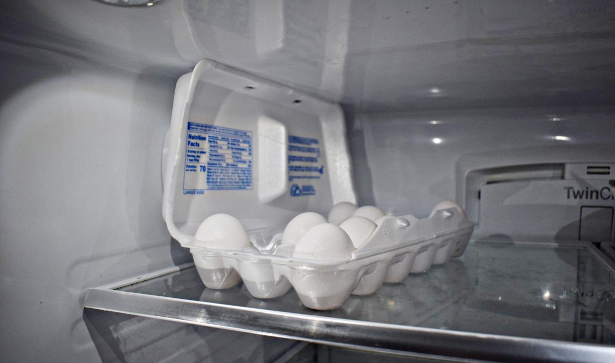 A carton of eggs rests inside a mostly empty refrigerator on Feb. 28, highlighting concerns about rising grocery costs.