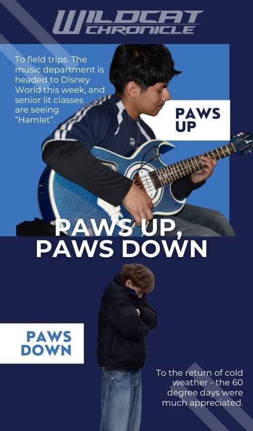 PAWS UP, PAWS DOWN