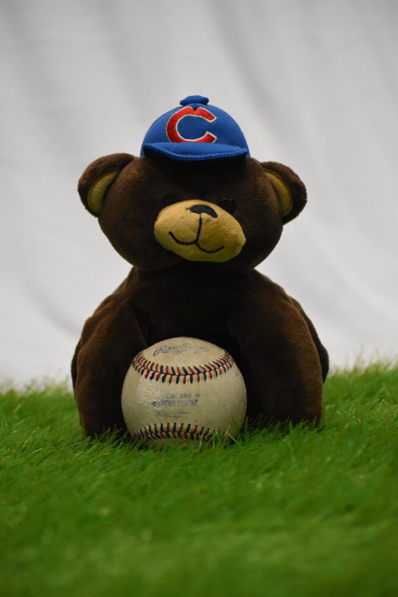 A Cubs plushie poses with a game used ball. 